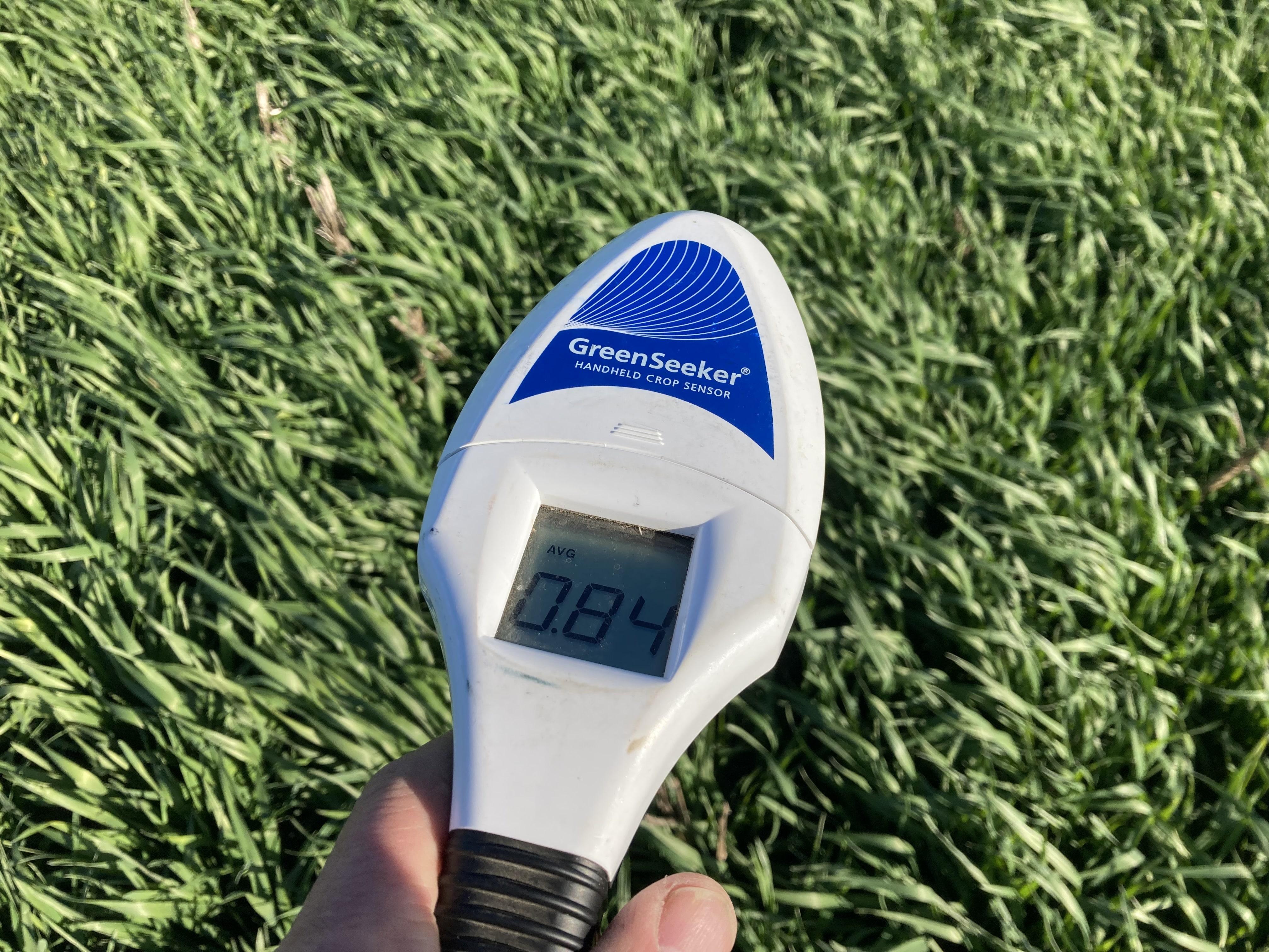 Boost Your Yield And Profits - SRWW Wheat Management Guide. - Image 10