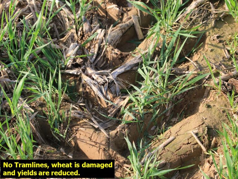Tramline System For AirSeeder Needham Ag Store