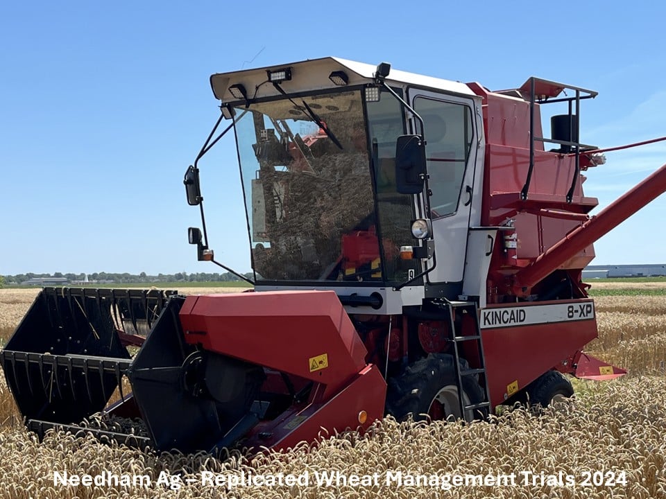 Boost Your Yield And Profits - SRWW Wheat Management Guide. - Image 18