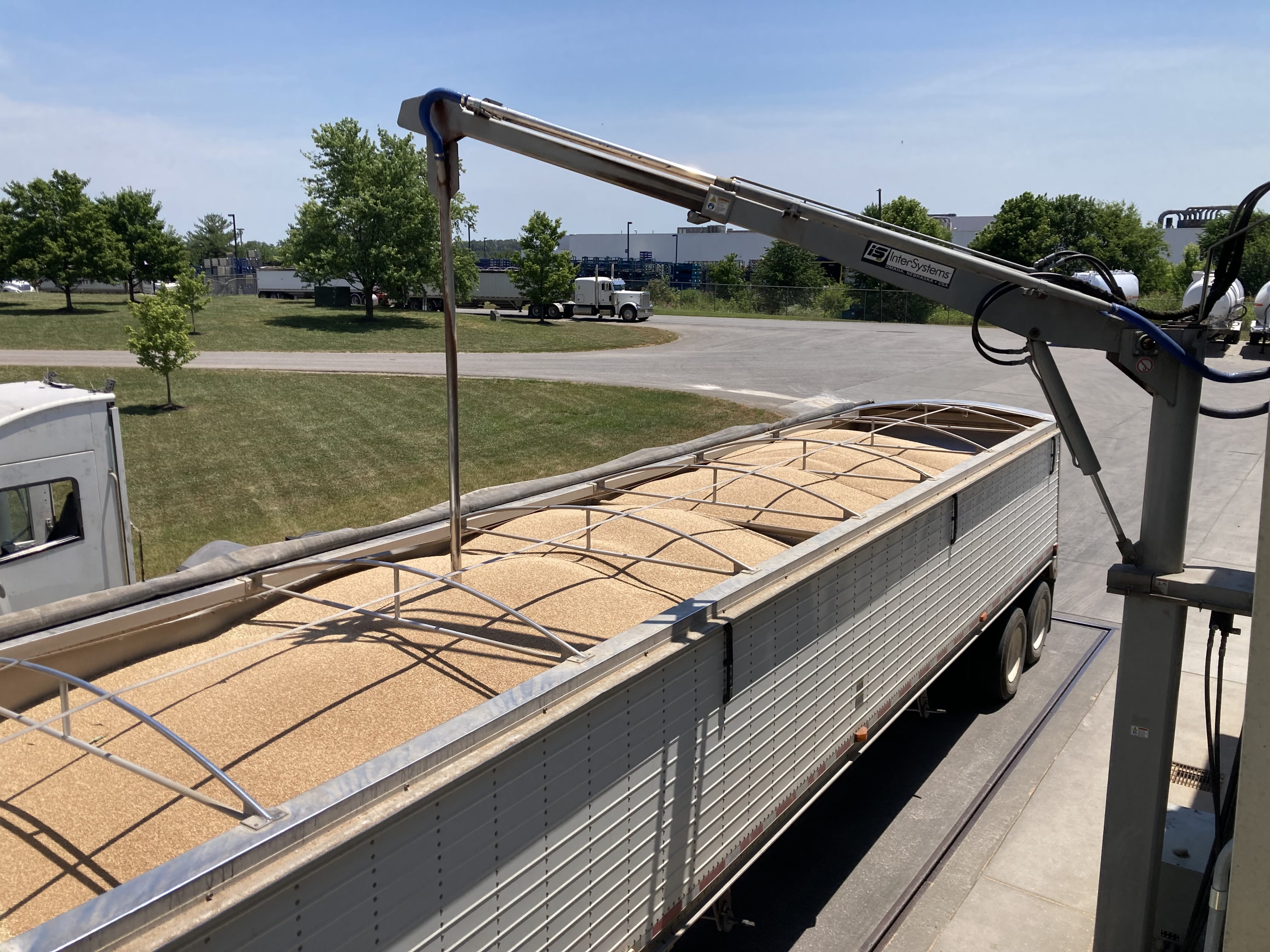 Boost Your Yield And Profits - SRWW Wheat Management Guide. - Image 22